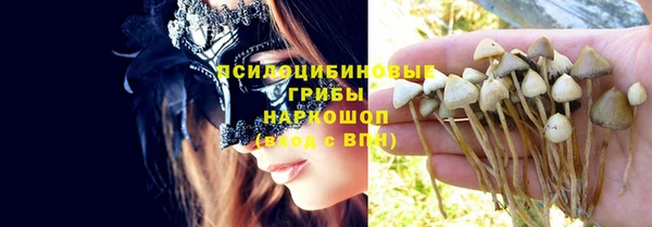 МДПВ Зеленодольск