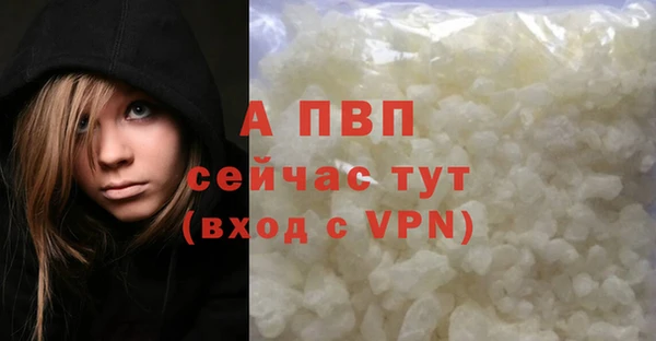 спиды Зеленокумск