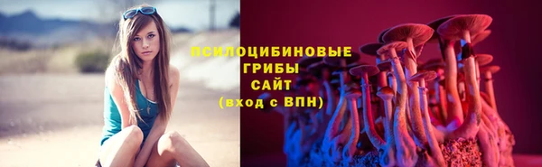 МДПВ Зеленодольск