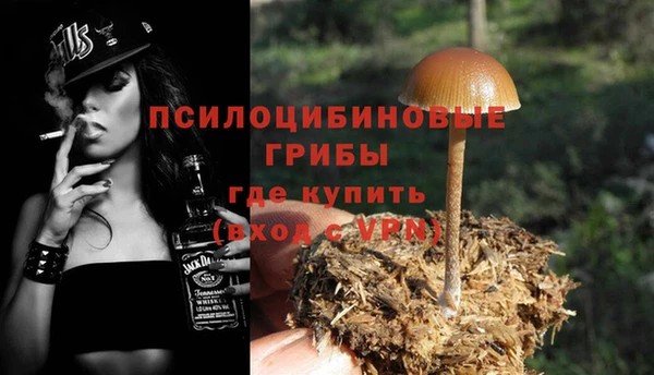 спиды Зеленокумск