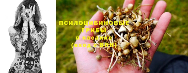 спиды Зеленокумск