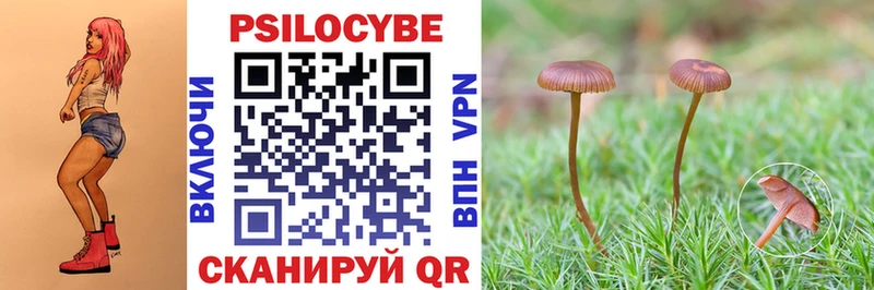 Галлюциногенные грибы GOLDEN TEACHER Вышний Волочёк
