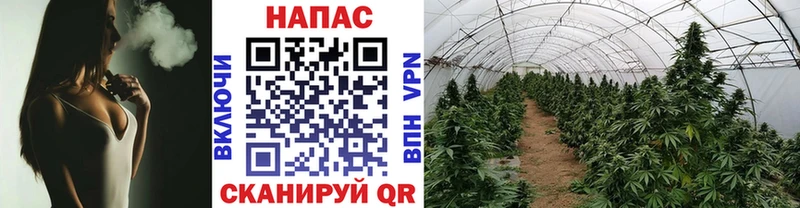 Шишки марихуана MAZAR  ссылка на мегу сайт  Вышний Волочёк 